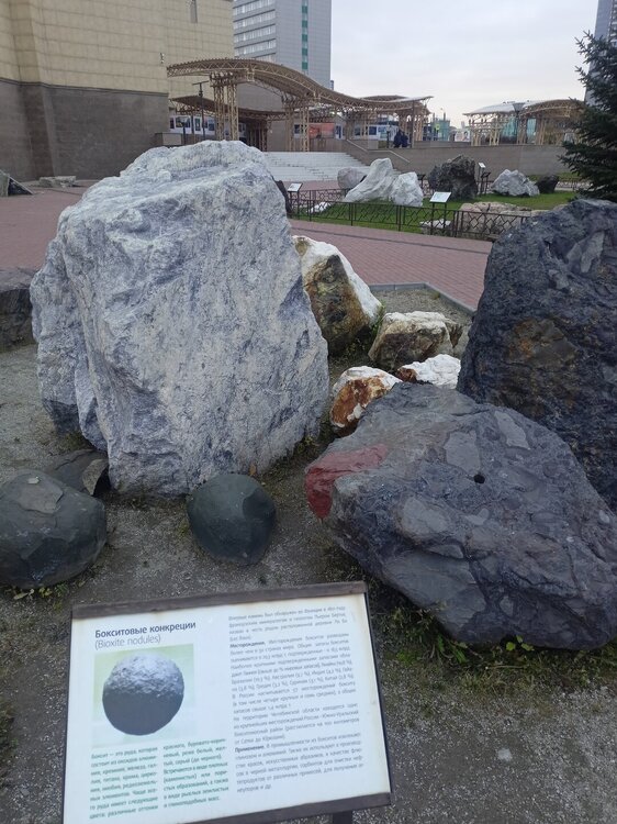 IMG20251011170256.jpg