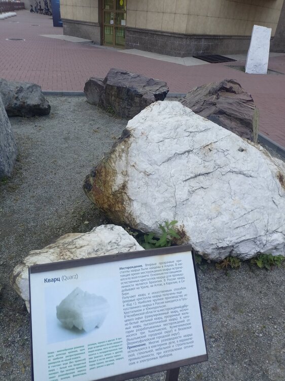 IMG20251011170316.jpg