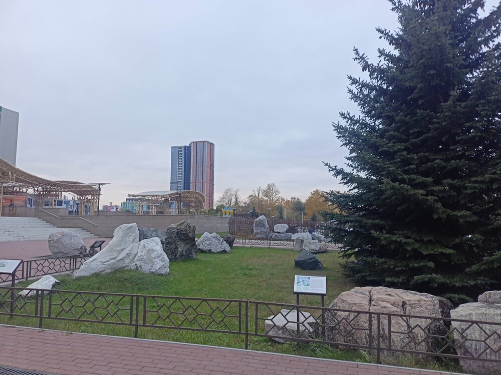 IMG20251011170347.jpg