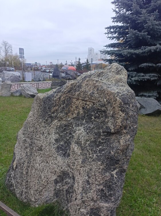 IMG20251011170448.jpg