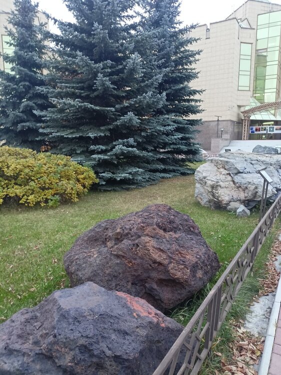 IMG20251011170650.jpg