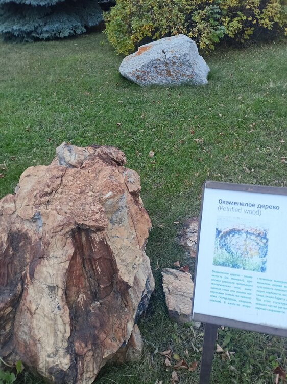 IMG20251011170847.jpg