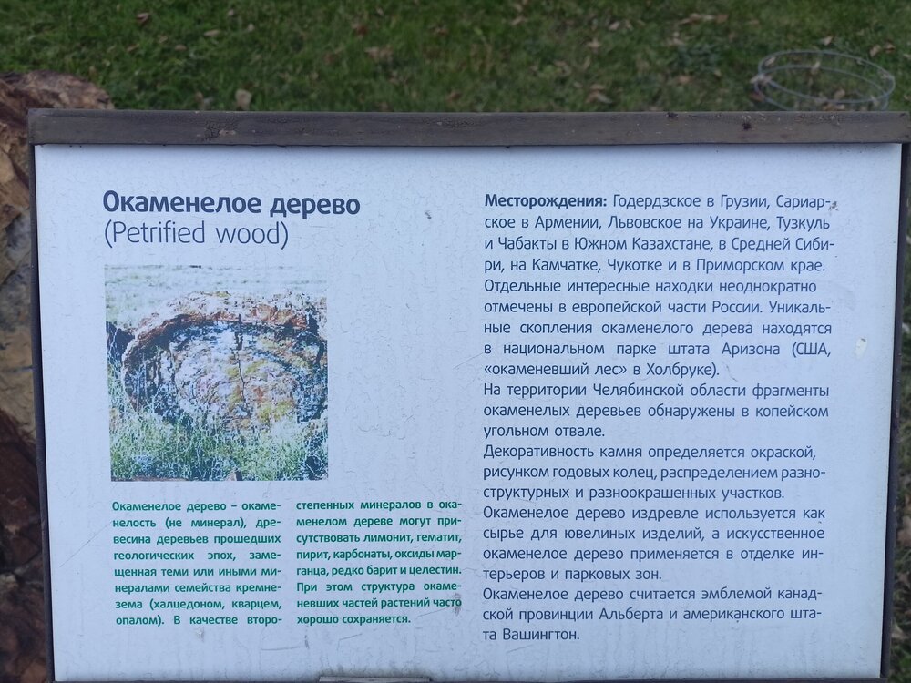 IMG20251011170854.jpg