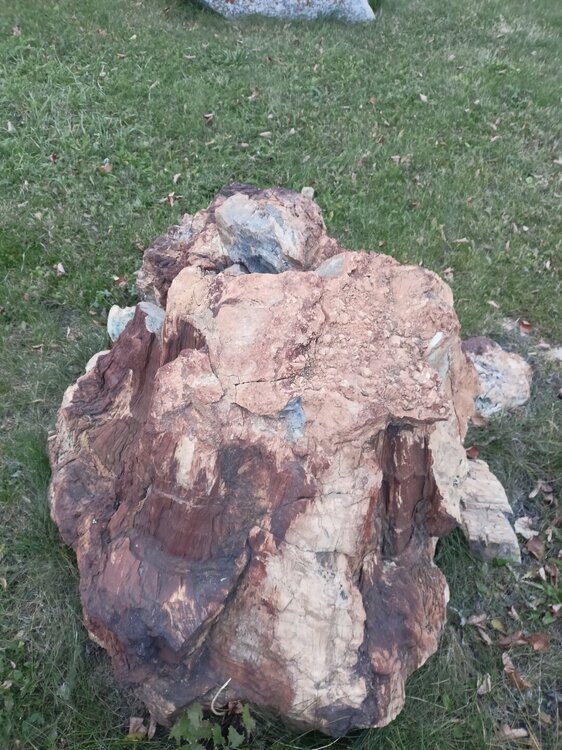 IMG20251011170917.jpg