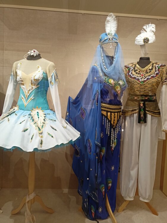 IMG20251011174154.jpg