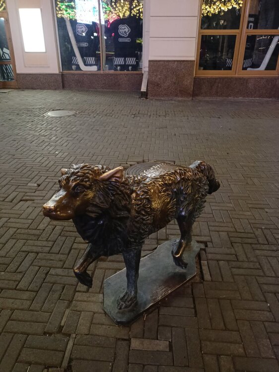 IMG20251011203706.jpg