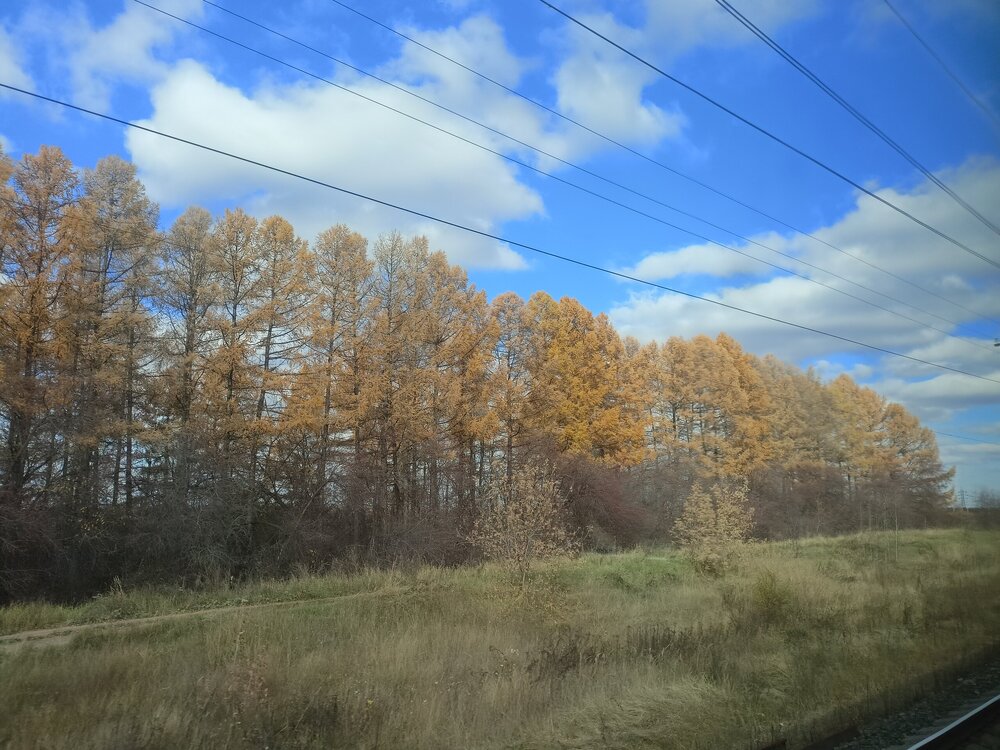 IMG20251012115214.jpg