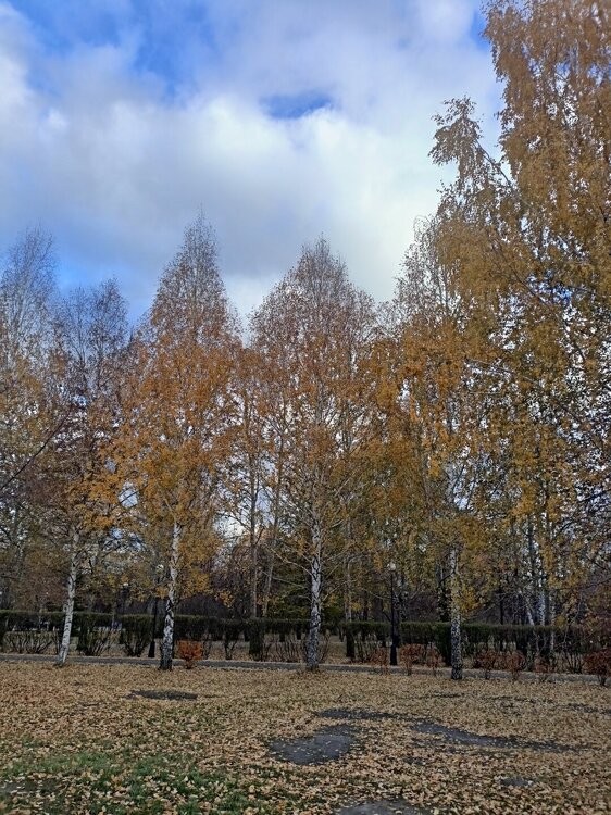 IMG20251020153554.jpg