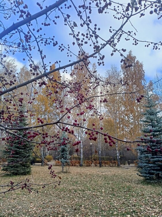 IMG20251020153840.jpg