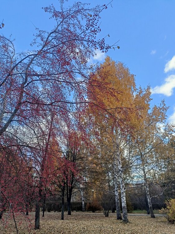 IMG20251020155233.jpg