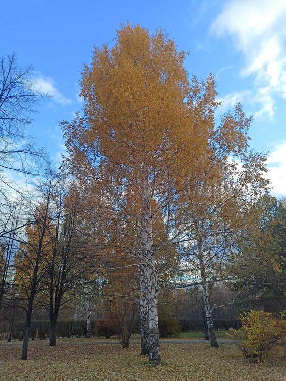 IMG20251020155345.jpg