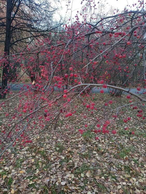 IMG20251020155358.jpg