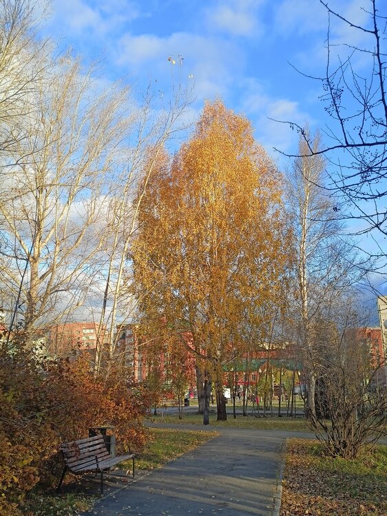 IMG20251020160259.jpg