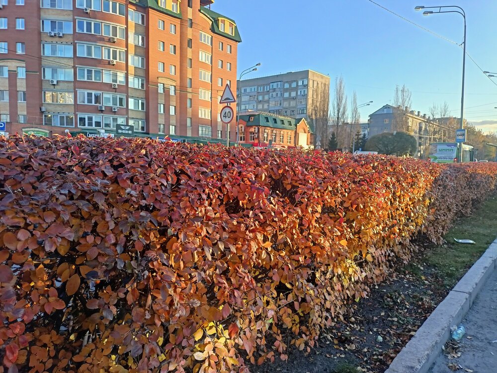 IMG20251020163552.jpg