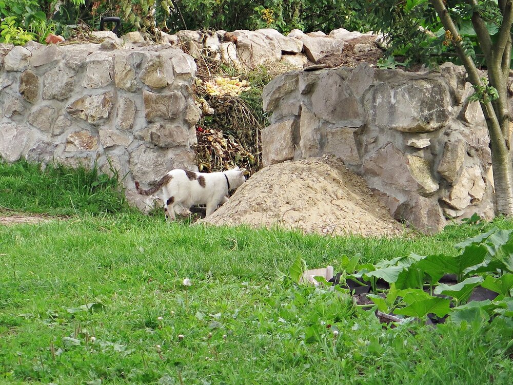 IMG_0483.JPG