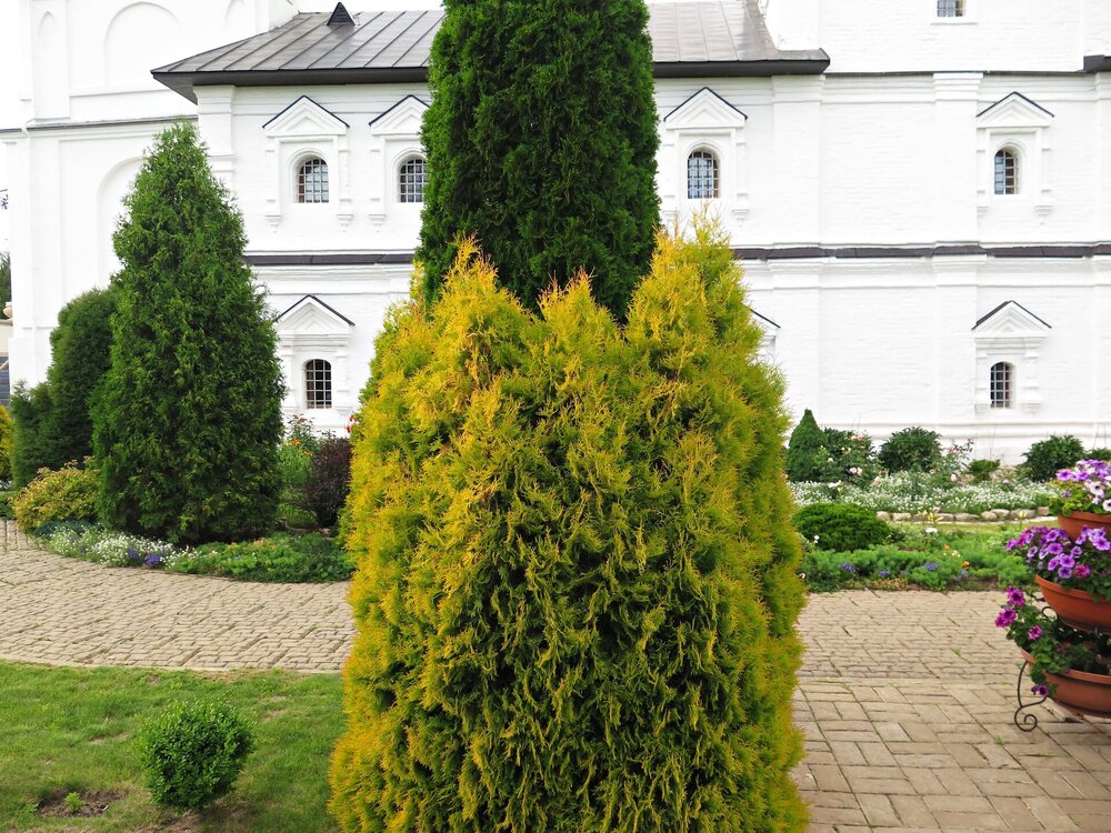 IMG_0503.JPG