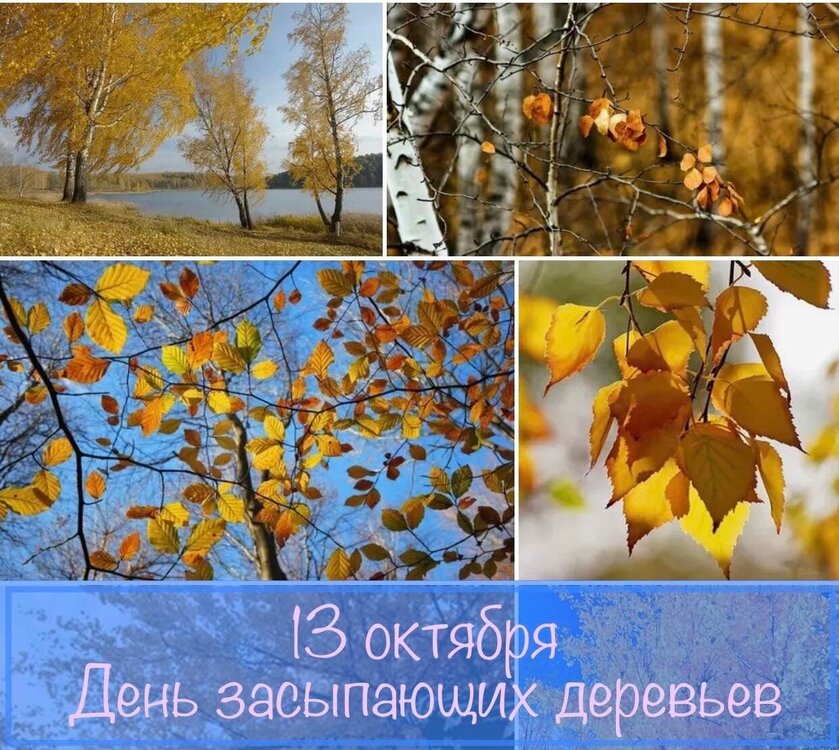 IMG_20251012_221823.jpg