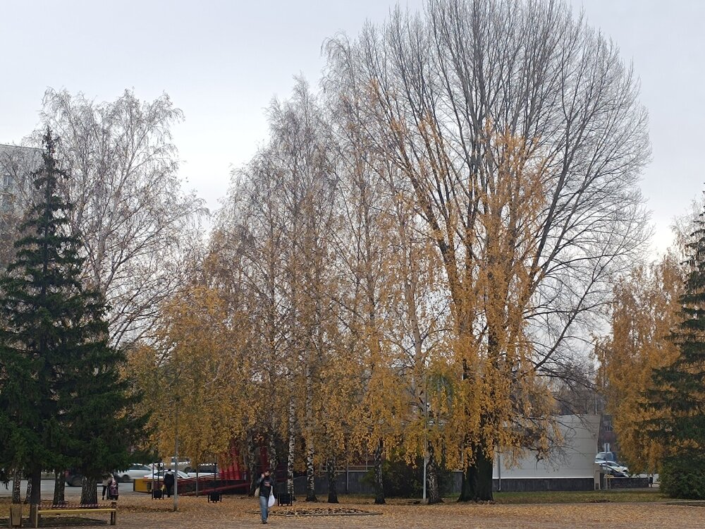 IMG_20251025_111220.jpg
