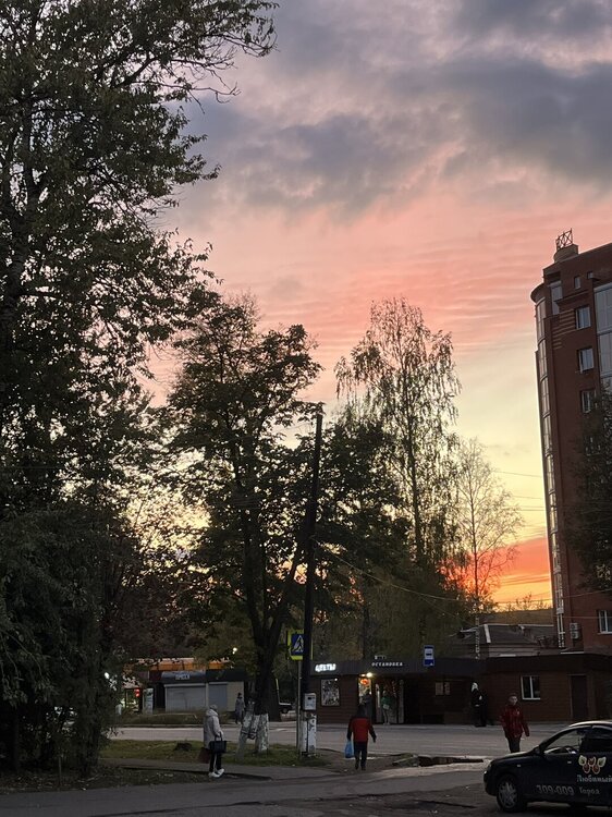 IMG_3068.JPEG