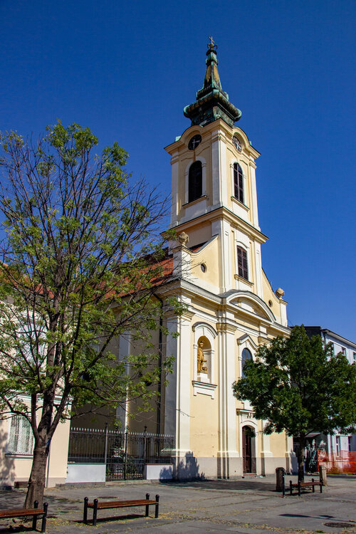 IMG_8179.jpg