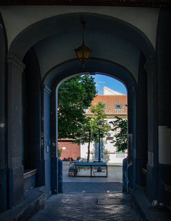 IMG_8190.jpg