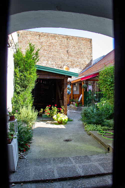 IMG_8239.jpg