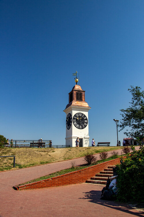 IMG_8247.jpg