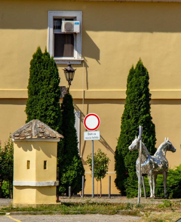 IMG_8277.jpg