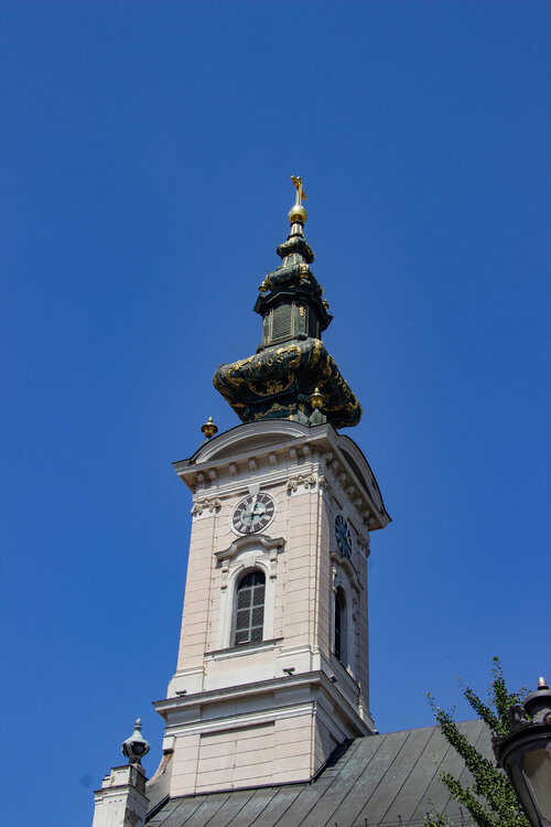 IMG_8319.jpg