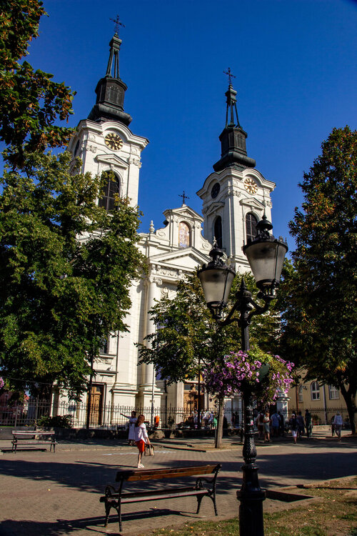 IMG_8327.jpg