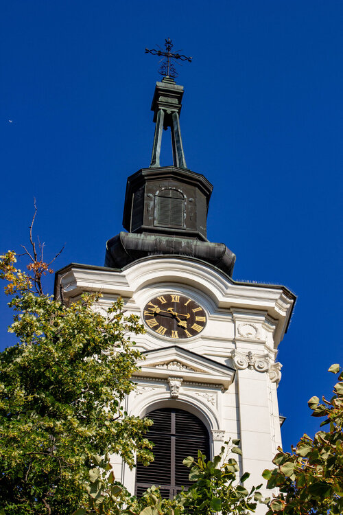 IMG_8330.jpg