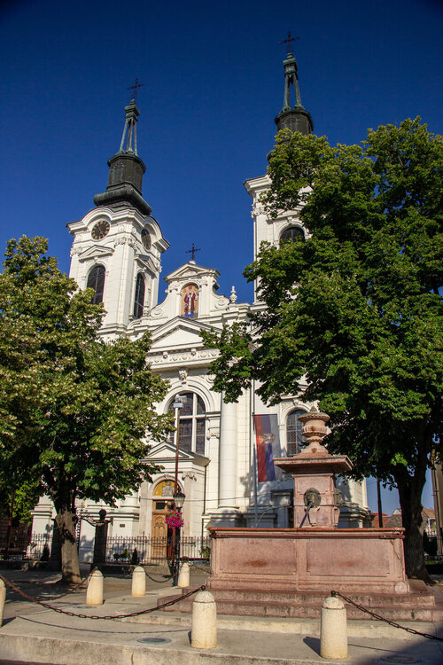 IMG_8355.jpg