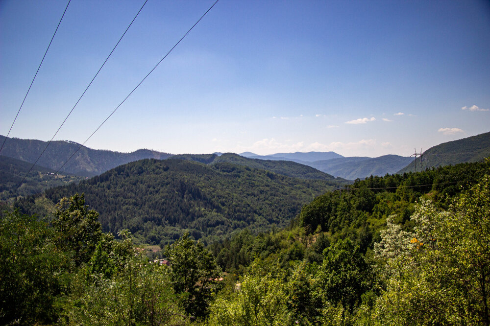 IMG_8367.jpg