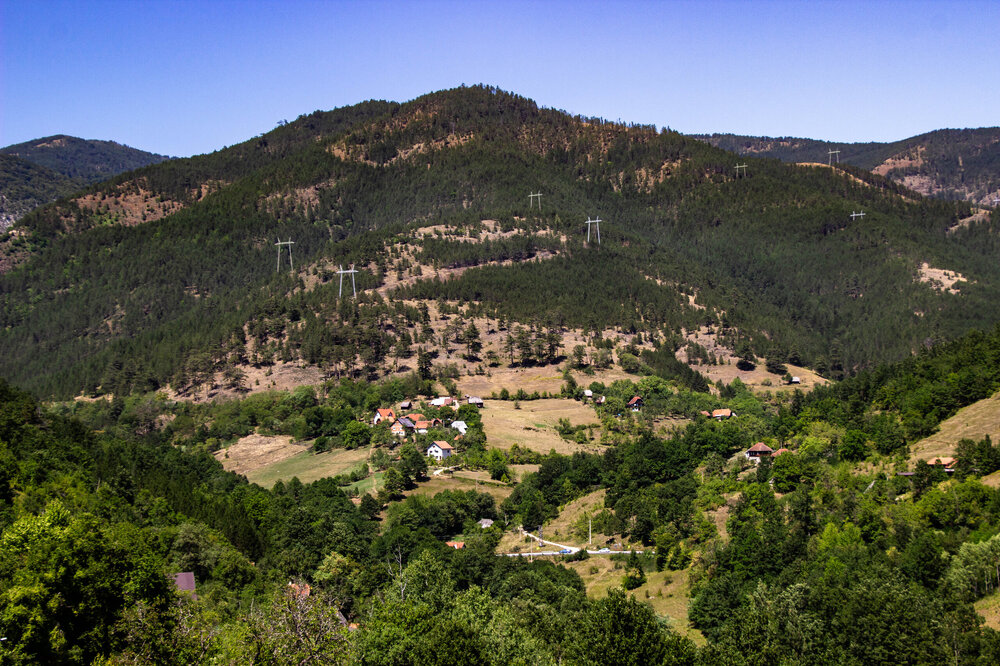 IMG_8385.jpg