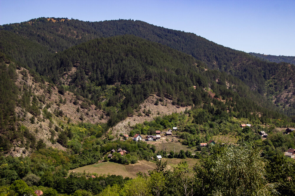 IMG_8388.jpg