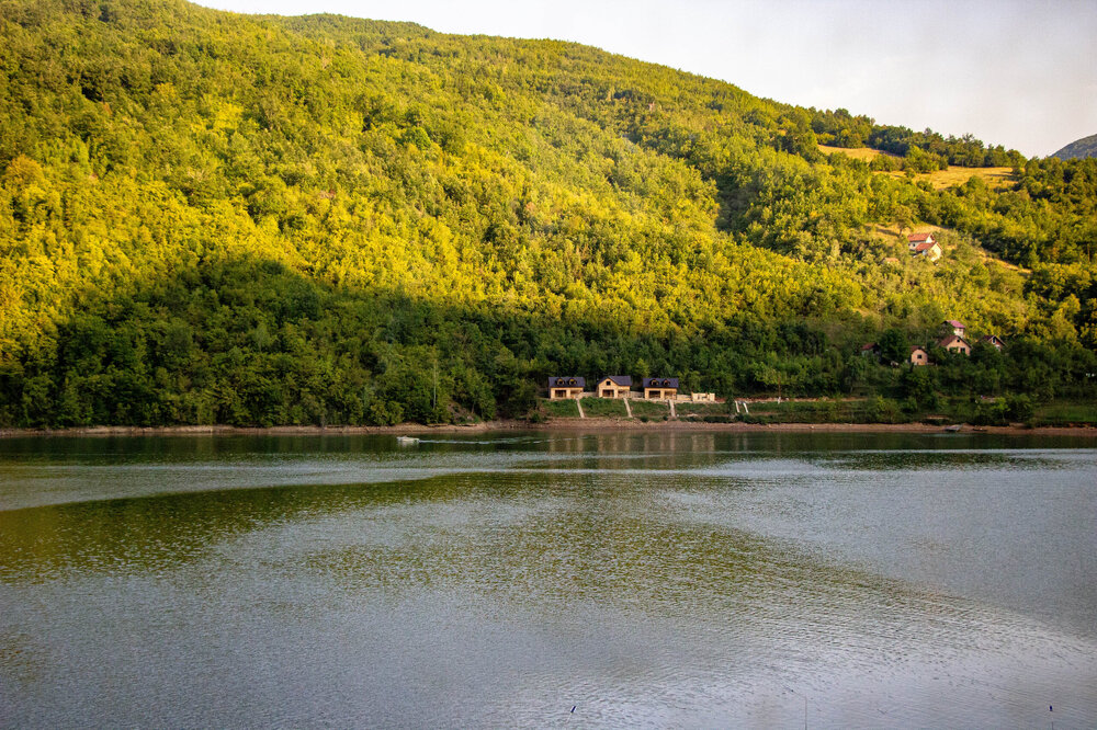 IMG_8501.jpg