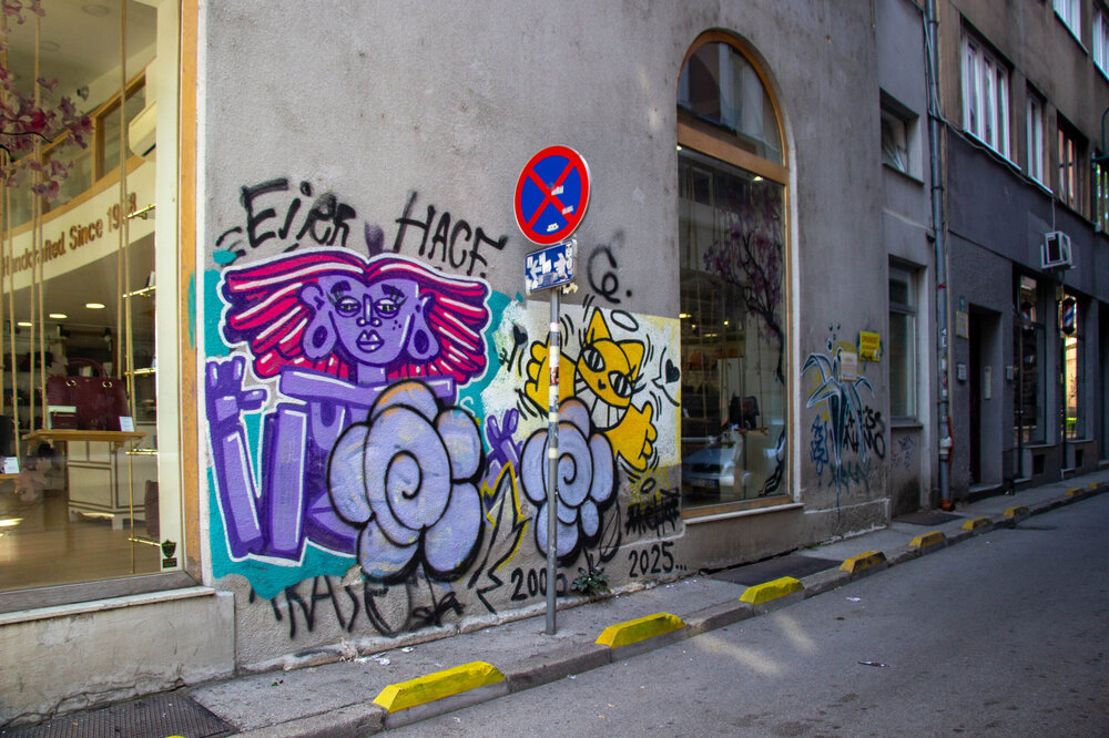 IMG_8585.jpg