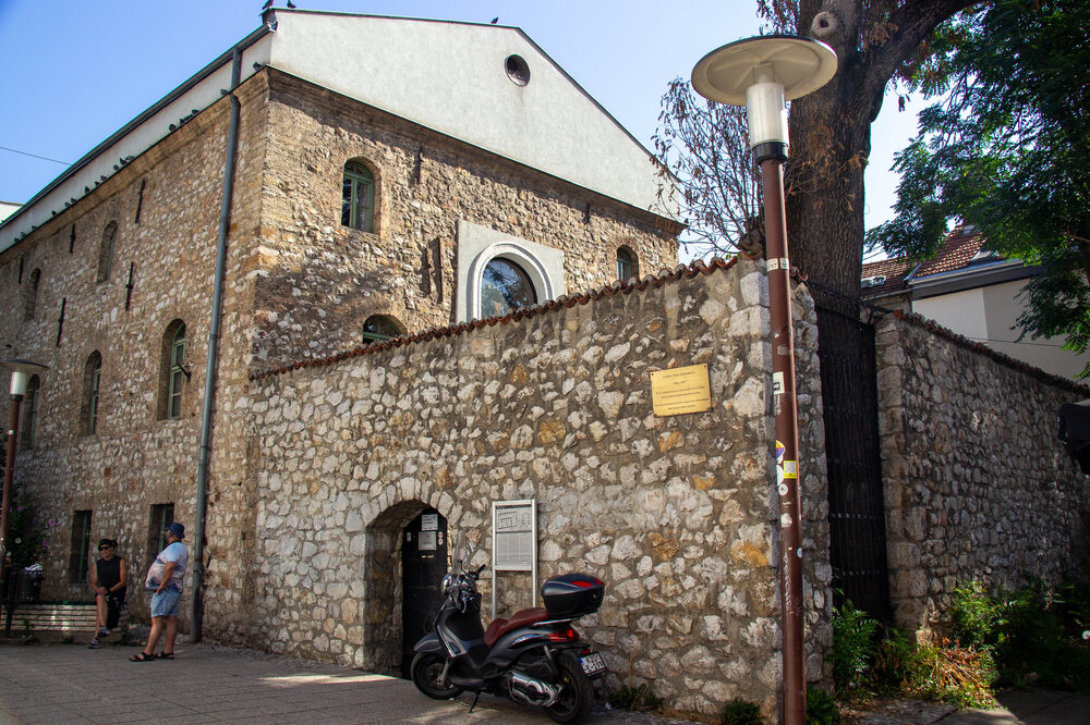 IMG_8642.jpg
