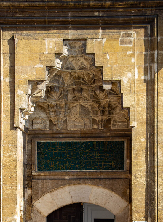 IMG_8653.jpg