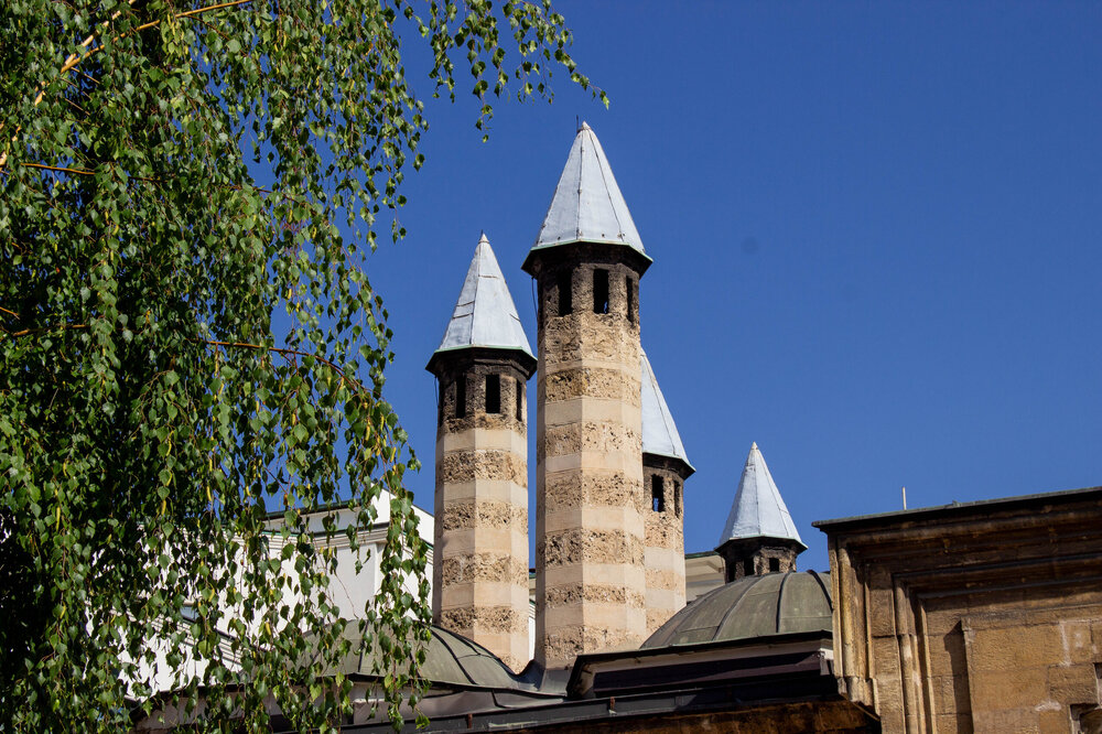 IMG_8655.jpg