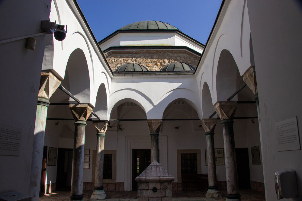 IMG_8658.jpg
