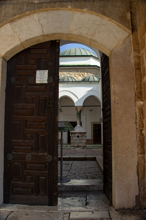 IMG_8662.jpg