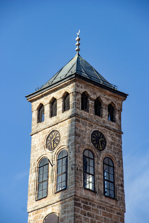 IMG_8667.jpg
