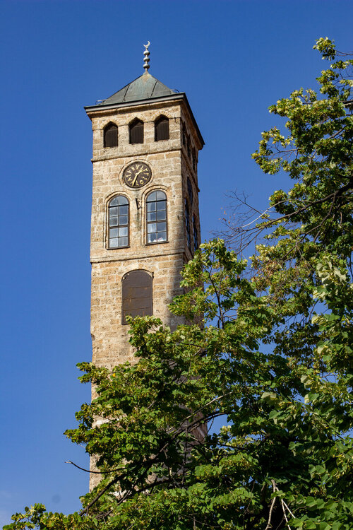 IMG_8676.jpg