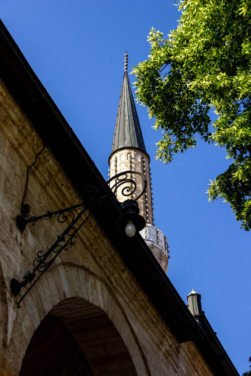 IMG_8683.jpg