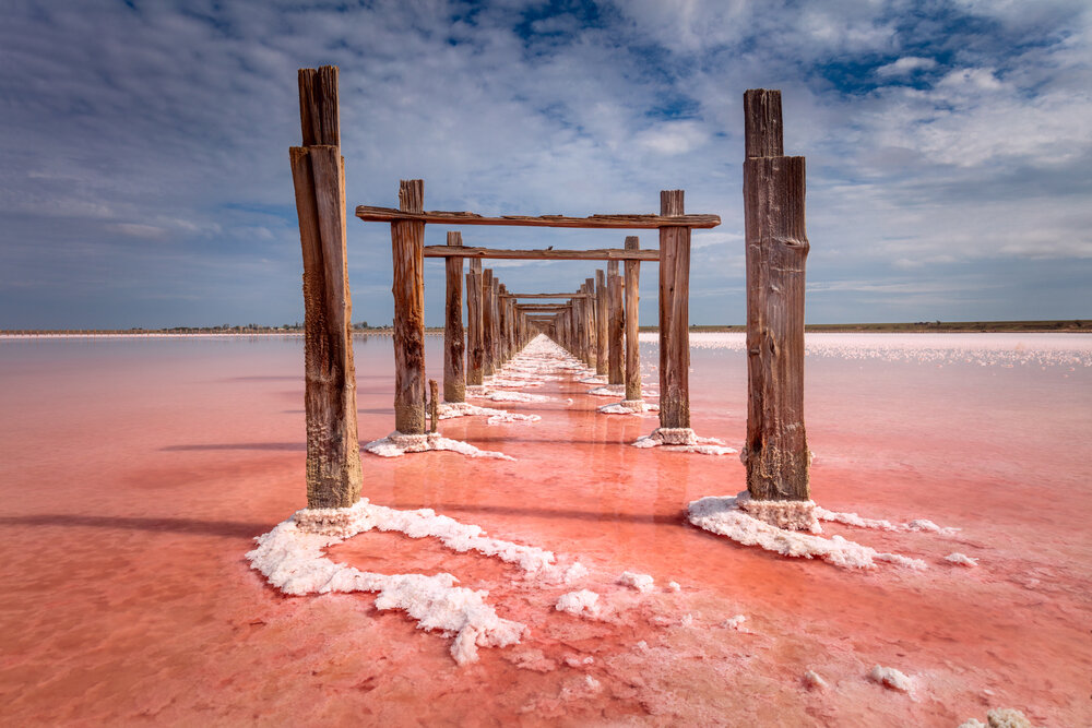 shutterstock_1931354987 (1).jpg