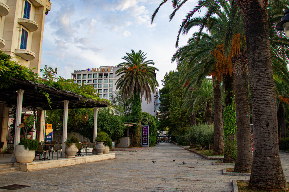 IMG_8120 — копия.jpg