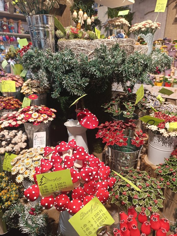 2025-12-02 17-21-20.JPG