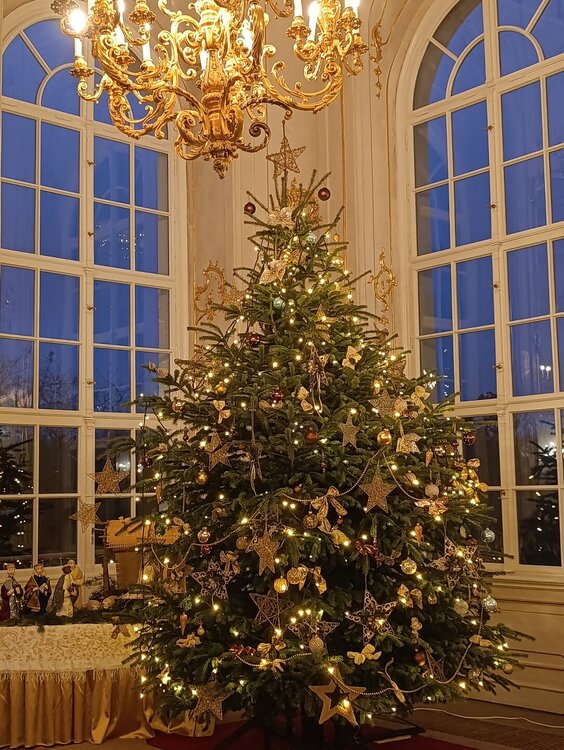 2025-12-03 16-13-44.JPG