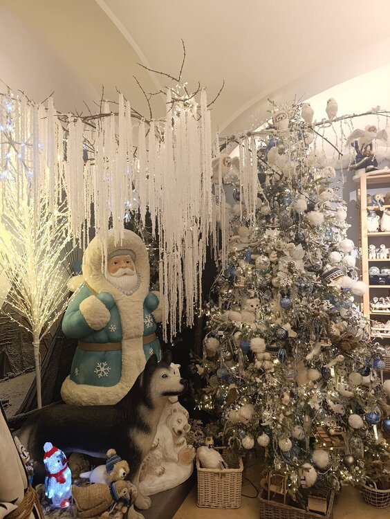 2025-12-03 17-08-34.JPG